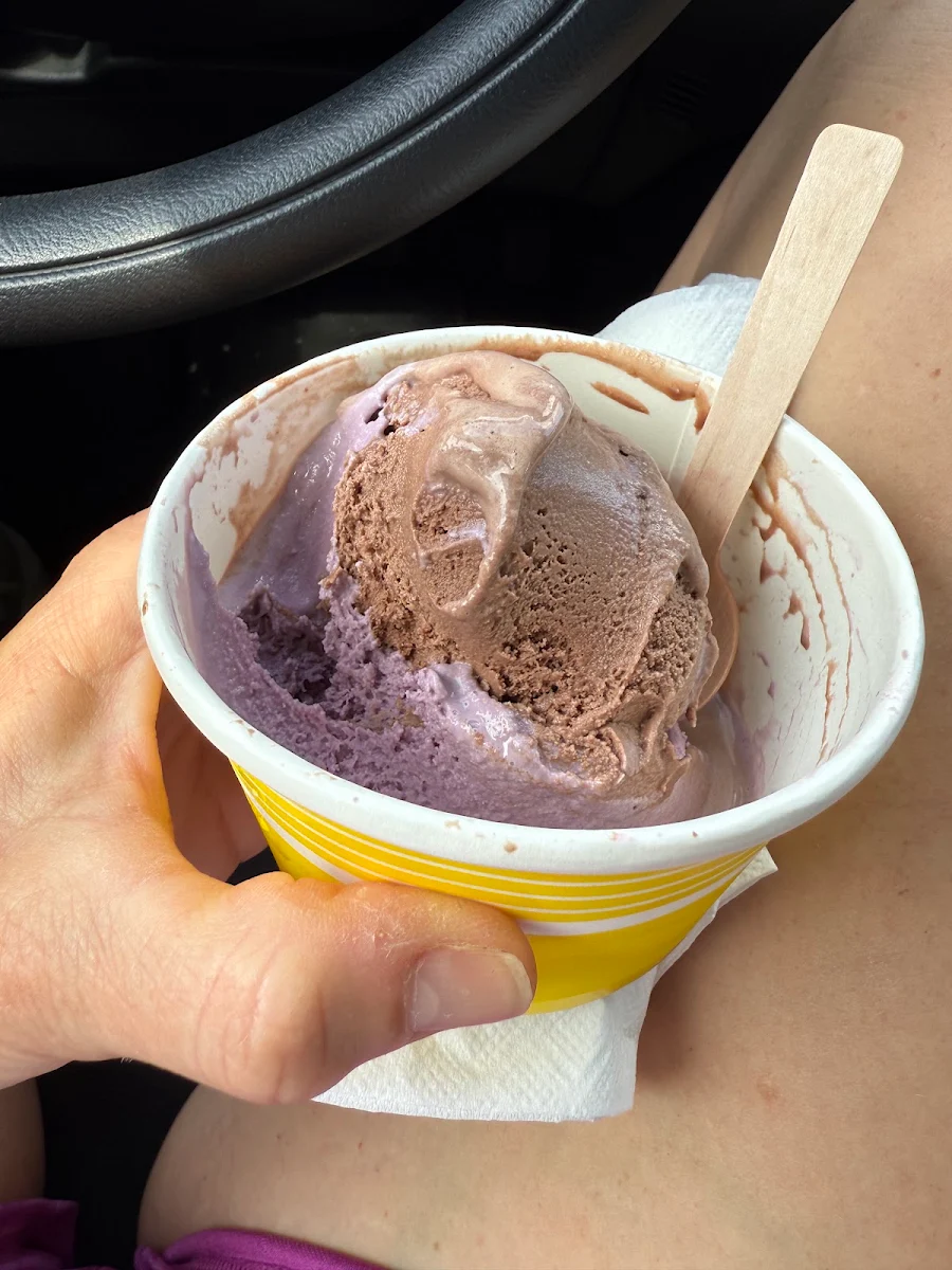 Chocolate Ice Cream