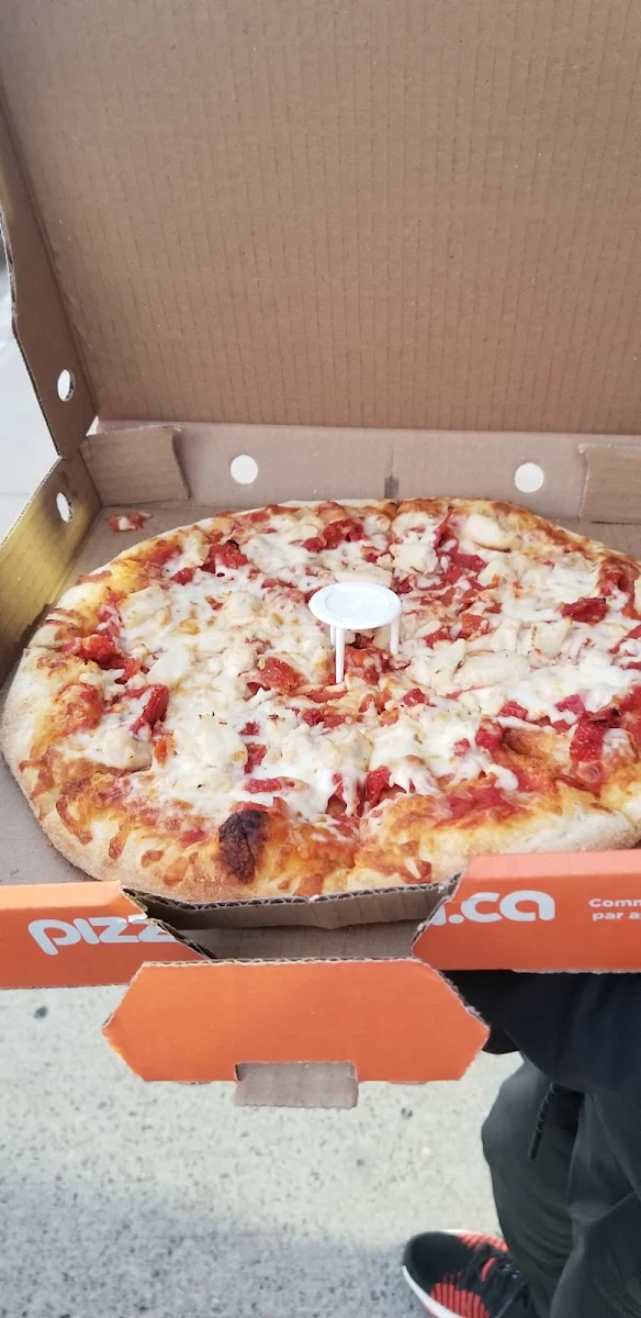 Grilled Chicken Sun-Dried Tomato Medium Pizza, Pizza Pizza