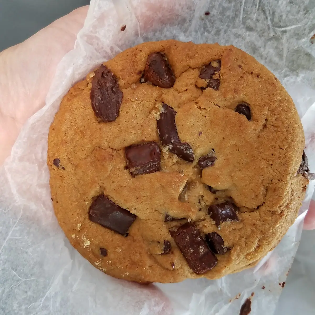 Chocolate Chip