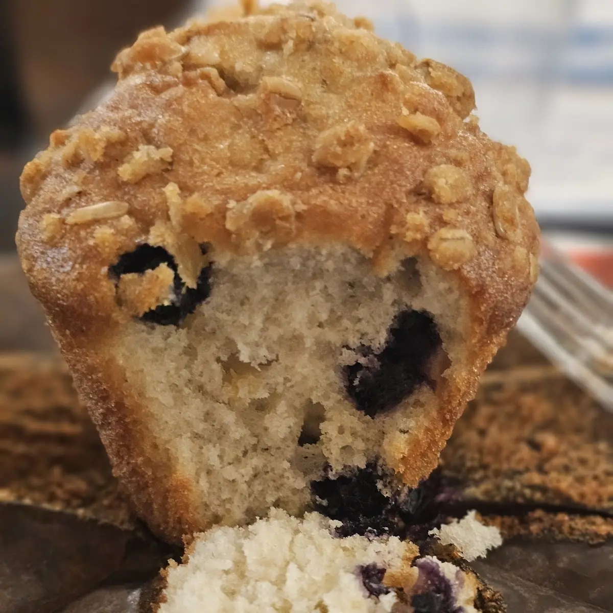 Blueberry Muffin
