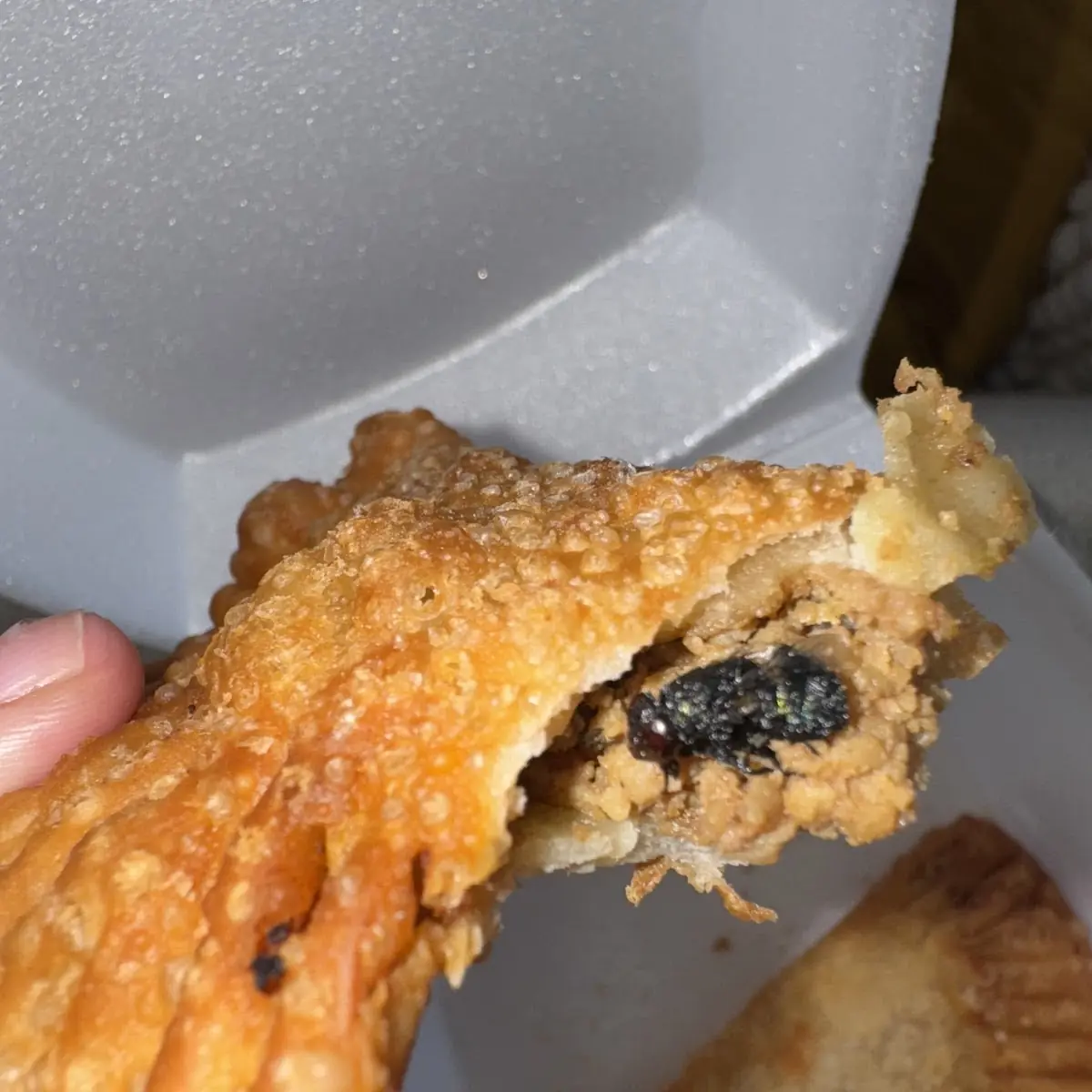 Empanada De Pollo Breaded Chicken Breast