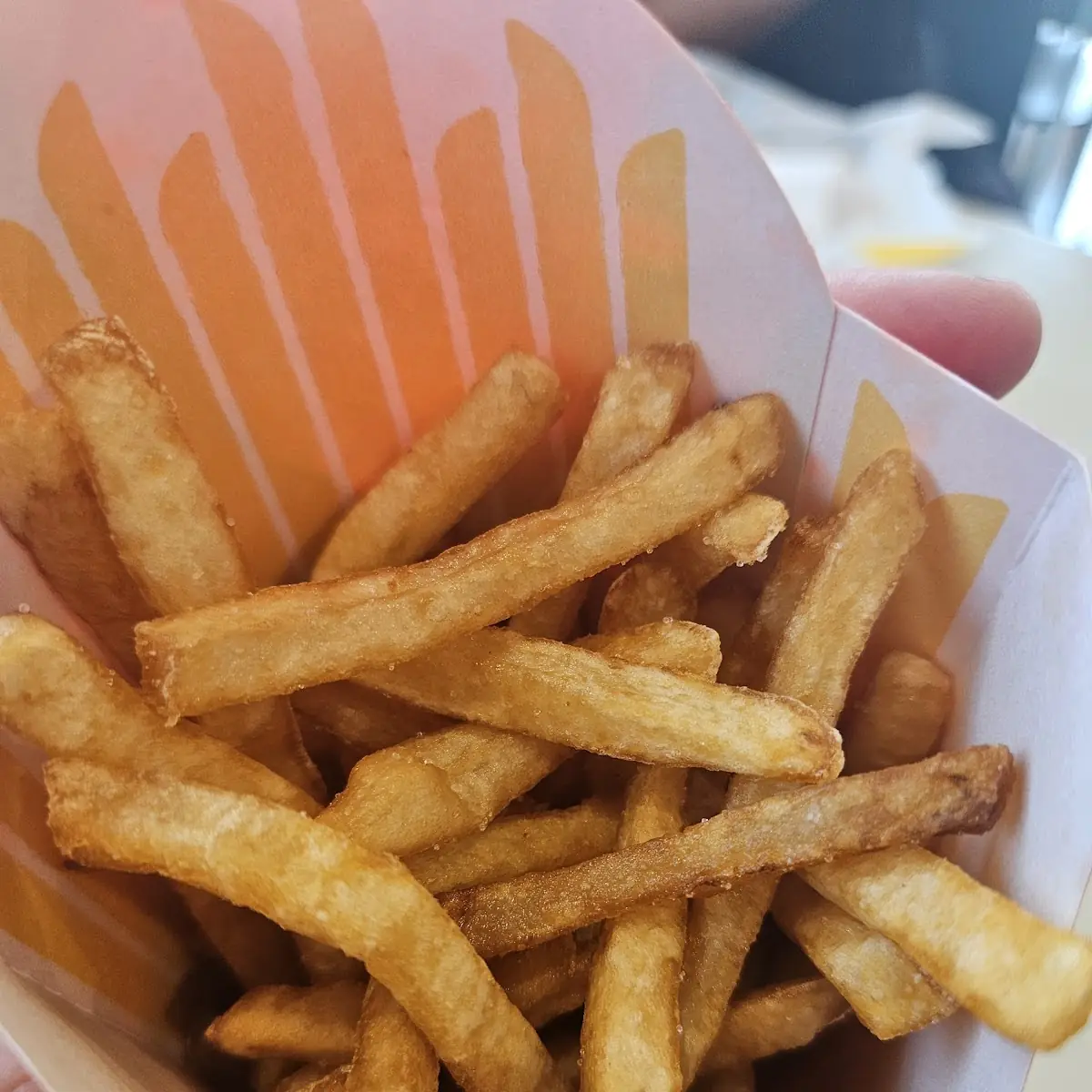 World Famous Fries
