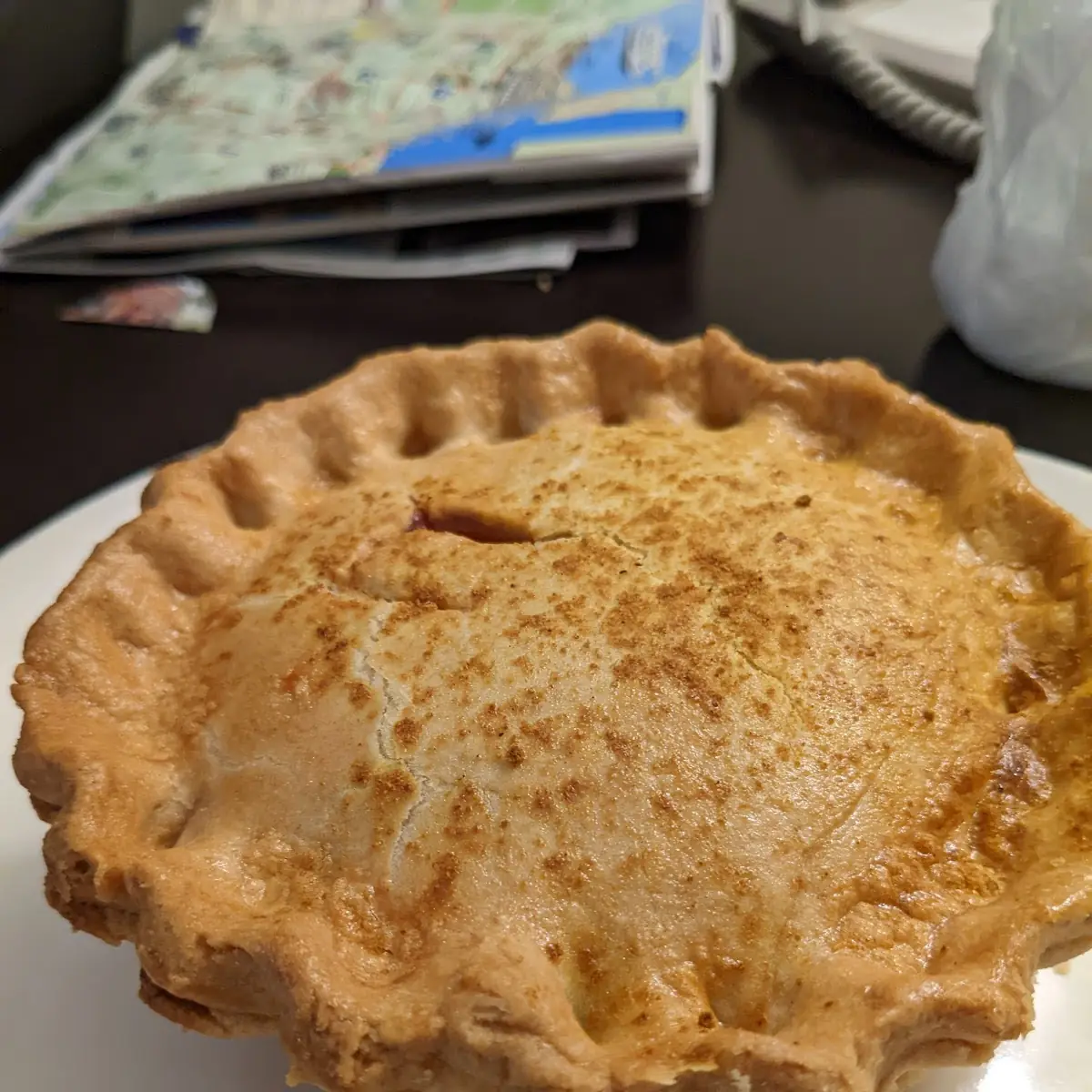 Chicken Curry Pie
