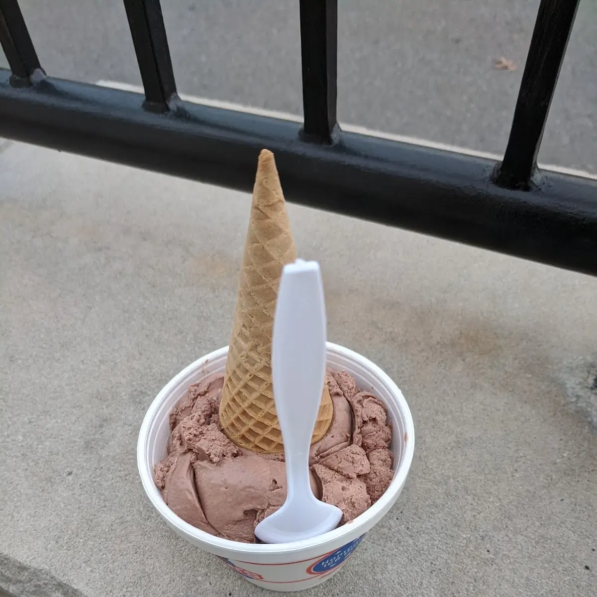 Chocolate Ice-Cream