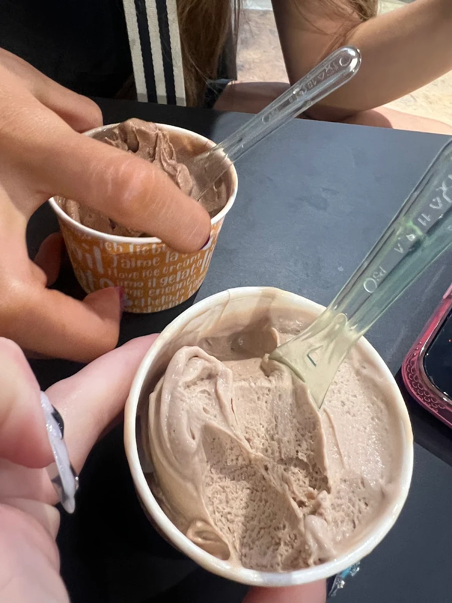 Chocolate Ice Cream
