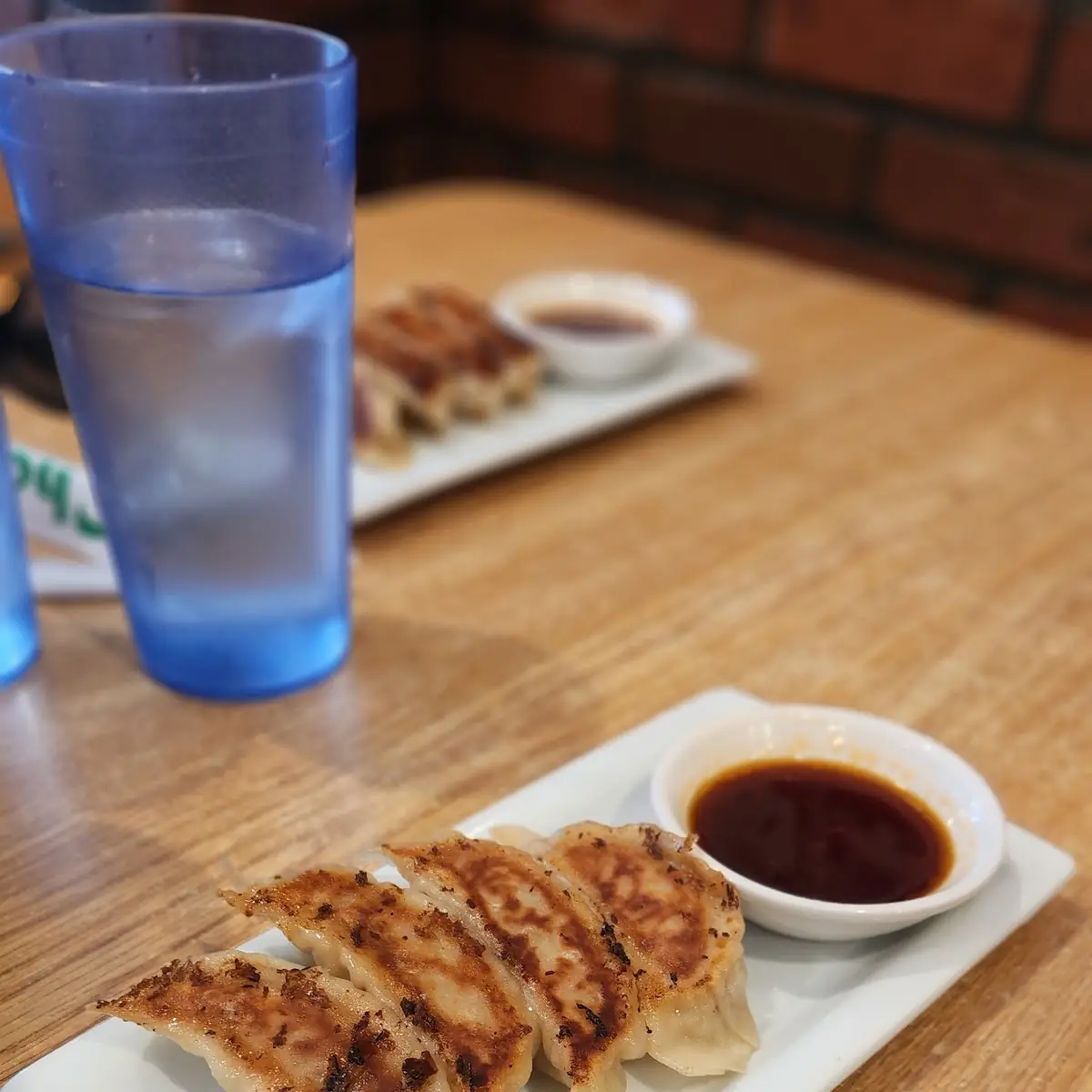 Vegetable Gyoza