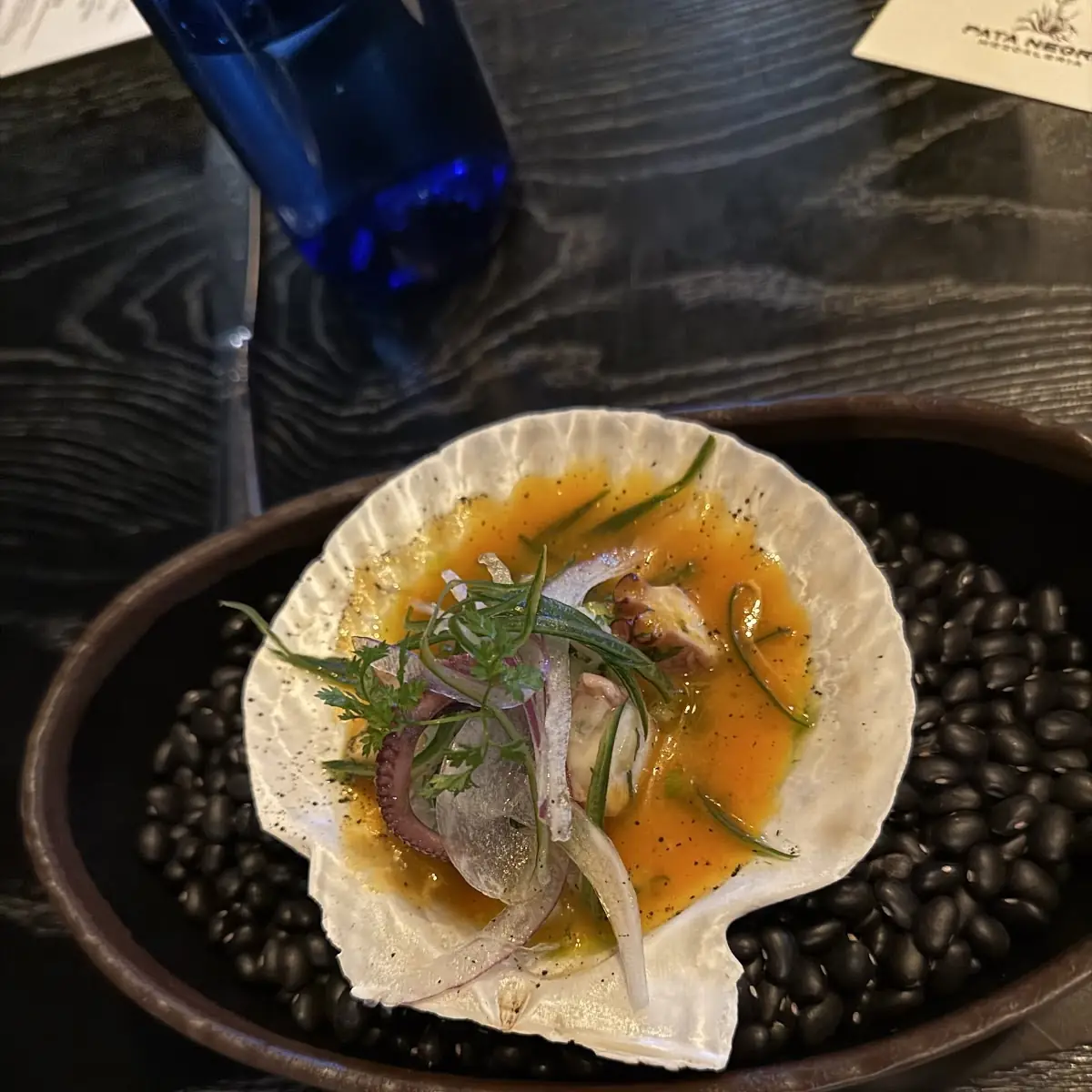 Shrimp Ceviche WCS