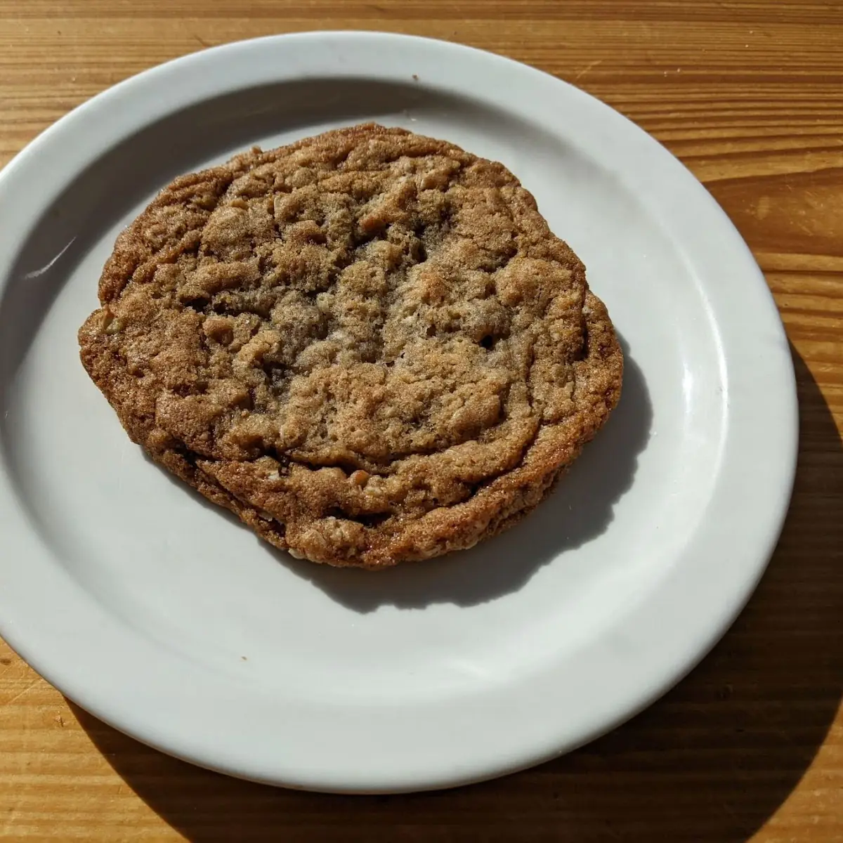 Chocolate Chip Cookie