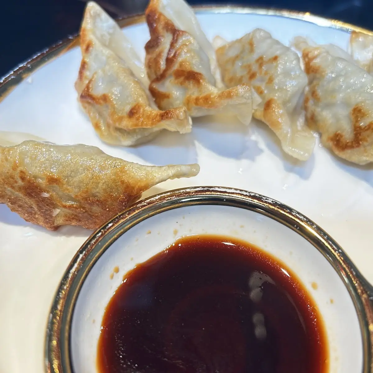 Pan-Fried Dumplings with Soy Sauce