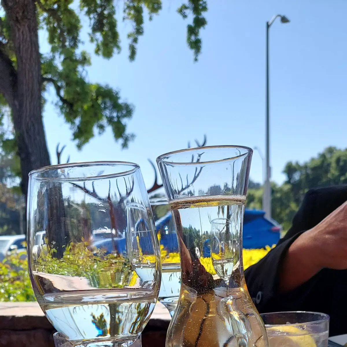 Sauvignon Blanc
