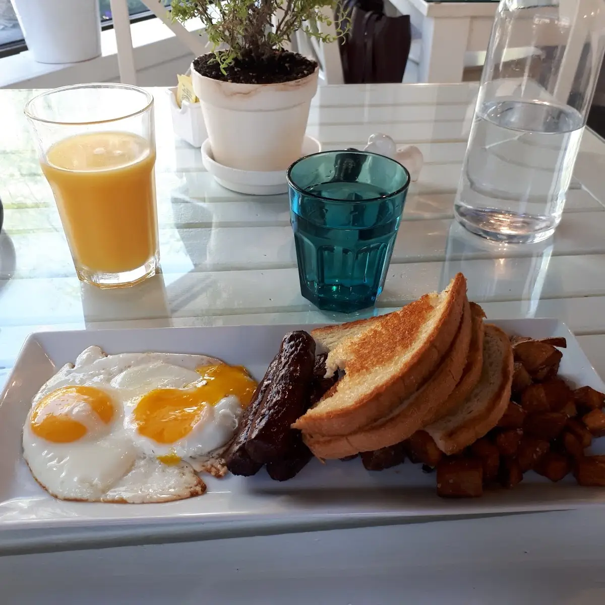 Classic Plated Breakfast, A Dog's Breakfast