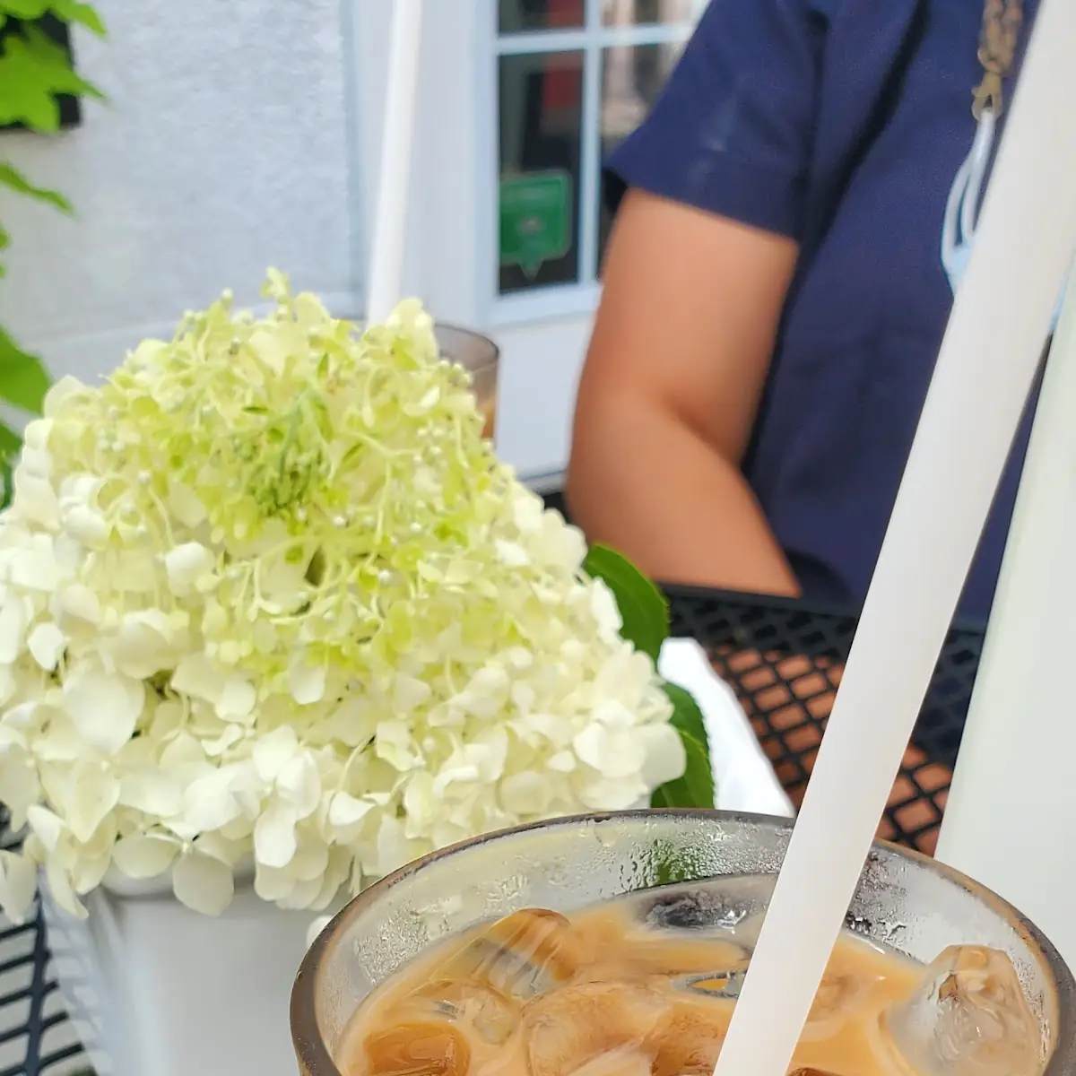 Iced Coffee, A Dog's Breakfast