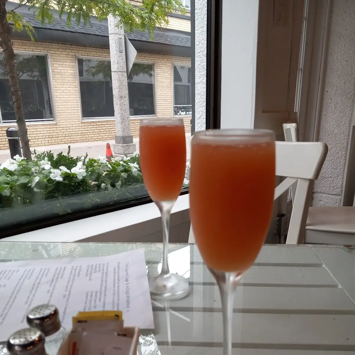 Mimosas, A Dog's Breakfast