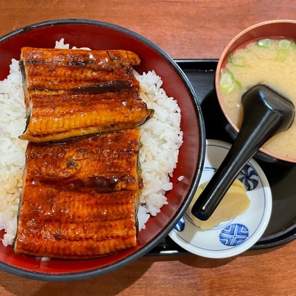 Unagi Don
