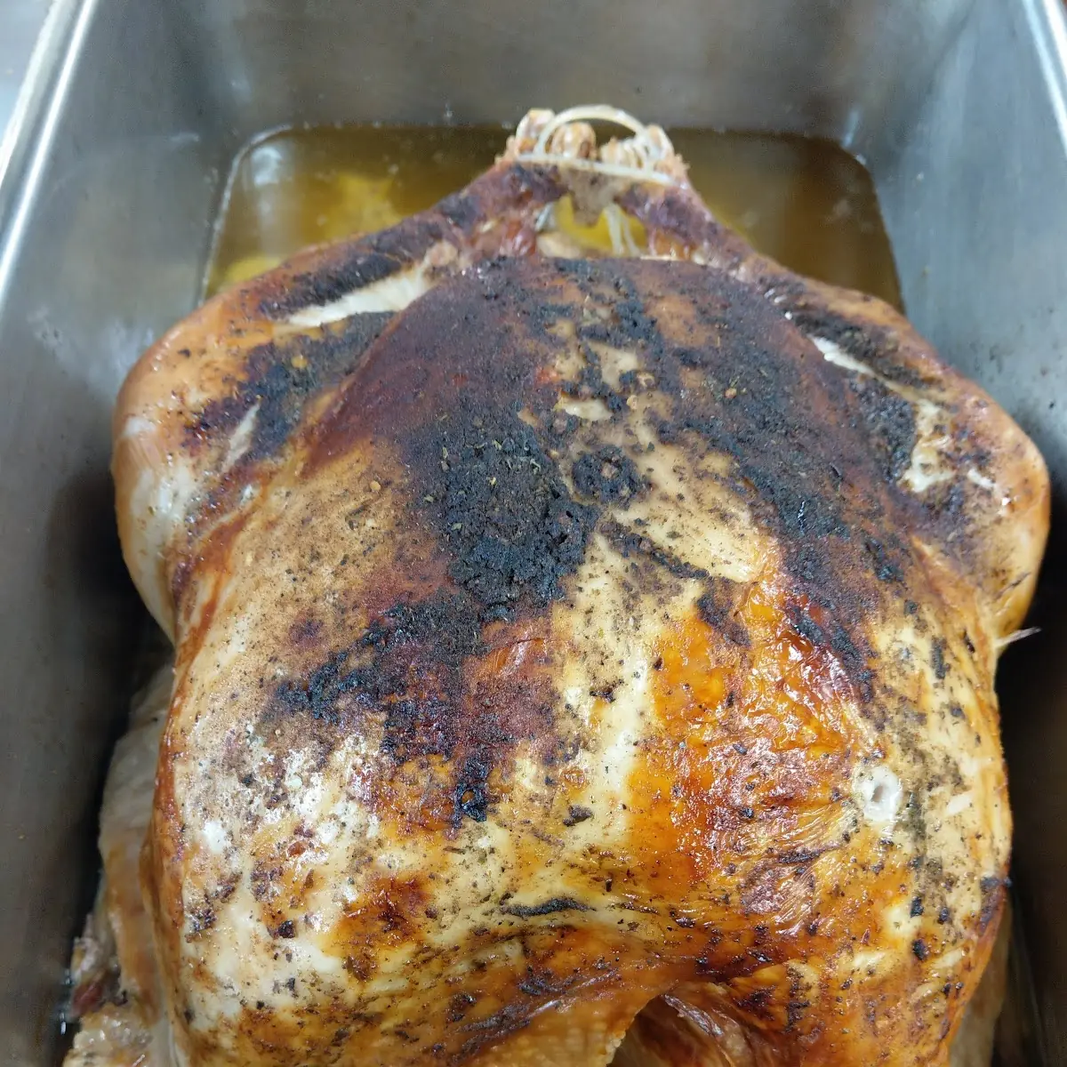 Fresh Roasted Turkey