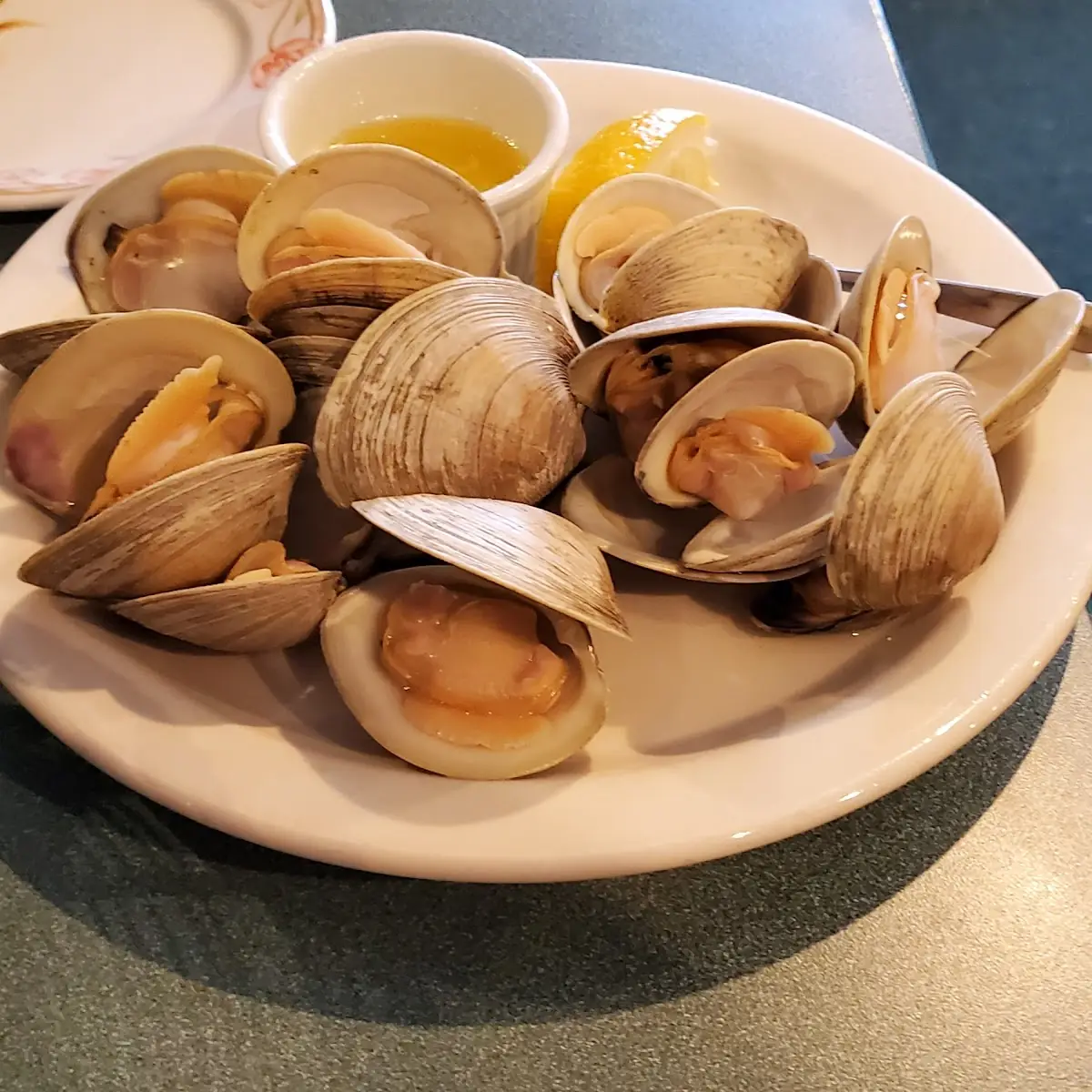 Steamed Little Neck Clams