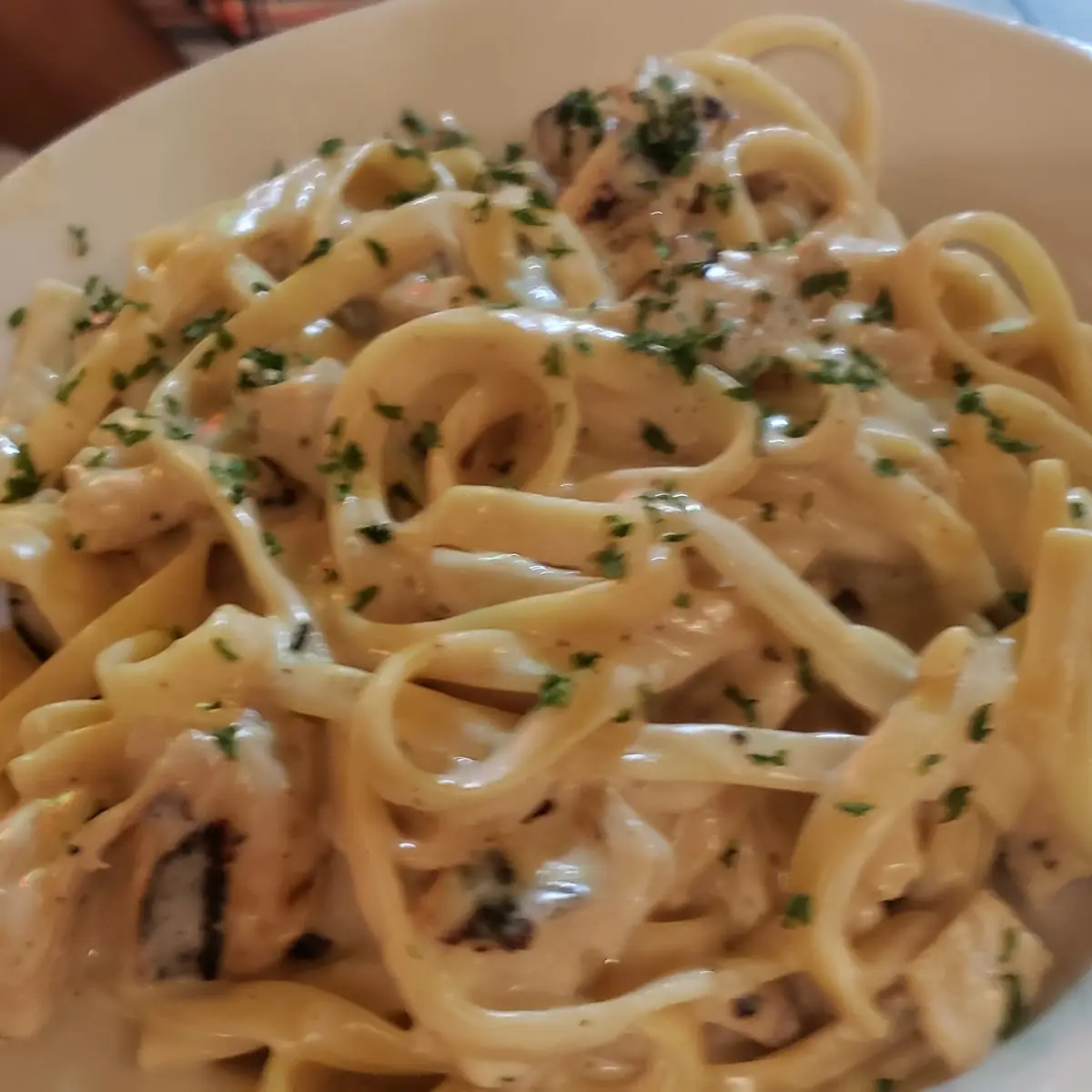Alfredo Pasta