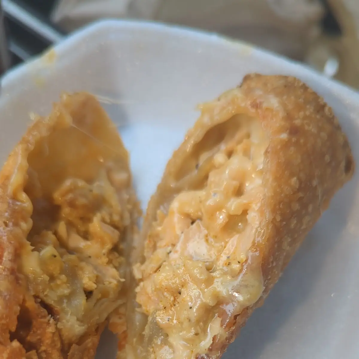 Salmon Egg Roll 1