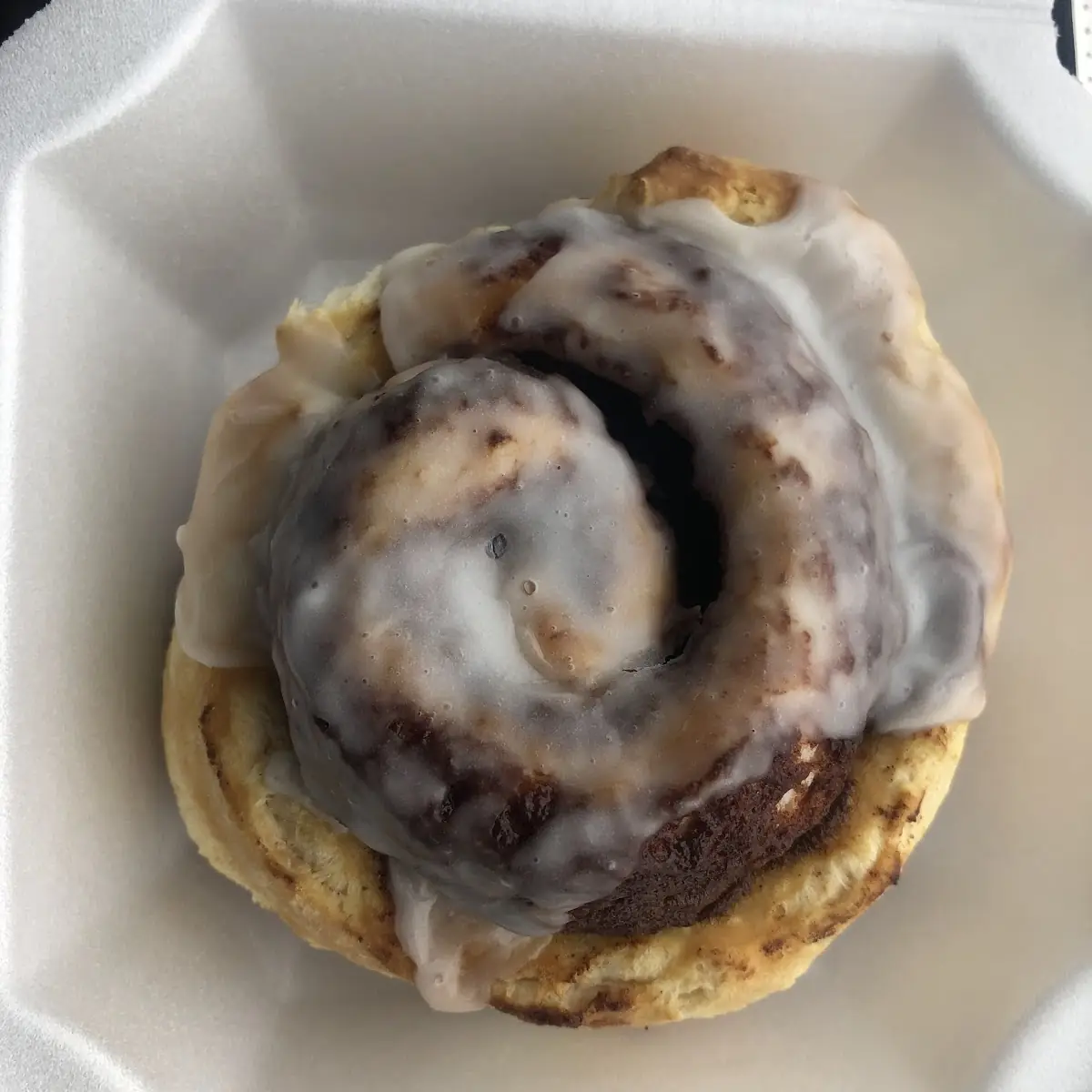 Fresh Baked Cinnamon Rolls