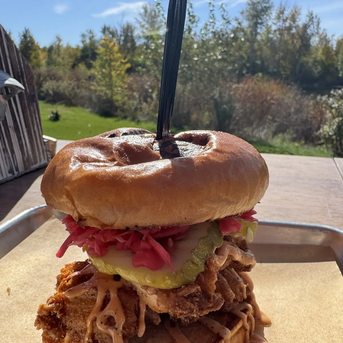 Hot Chicken Sandwich