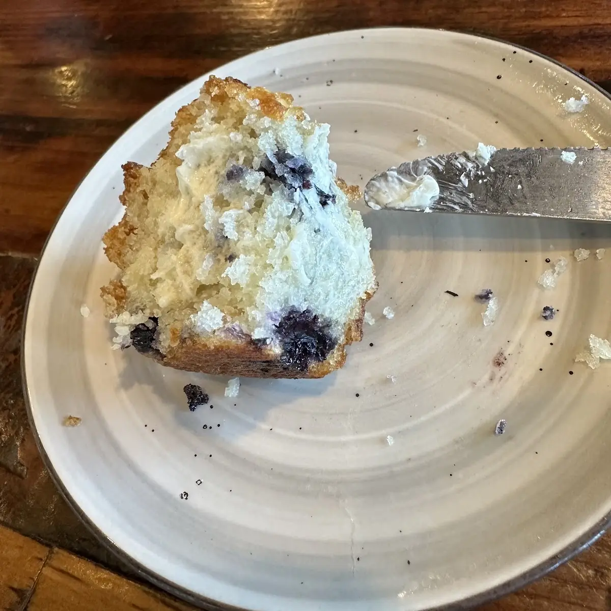 Blueberry Muffin