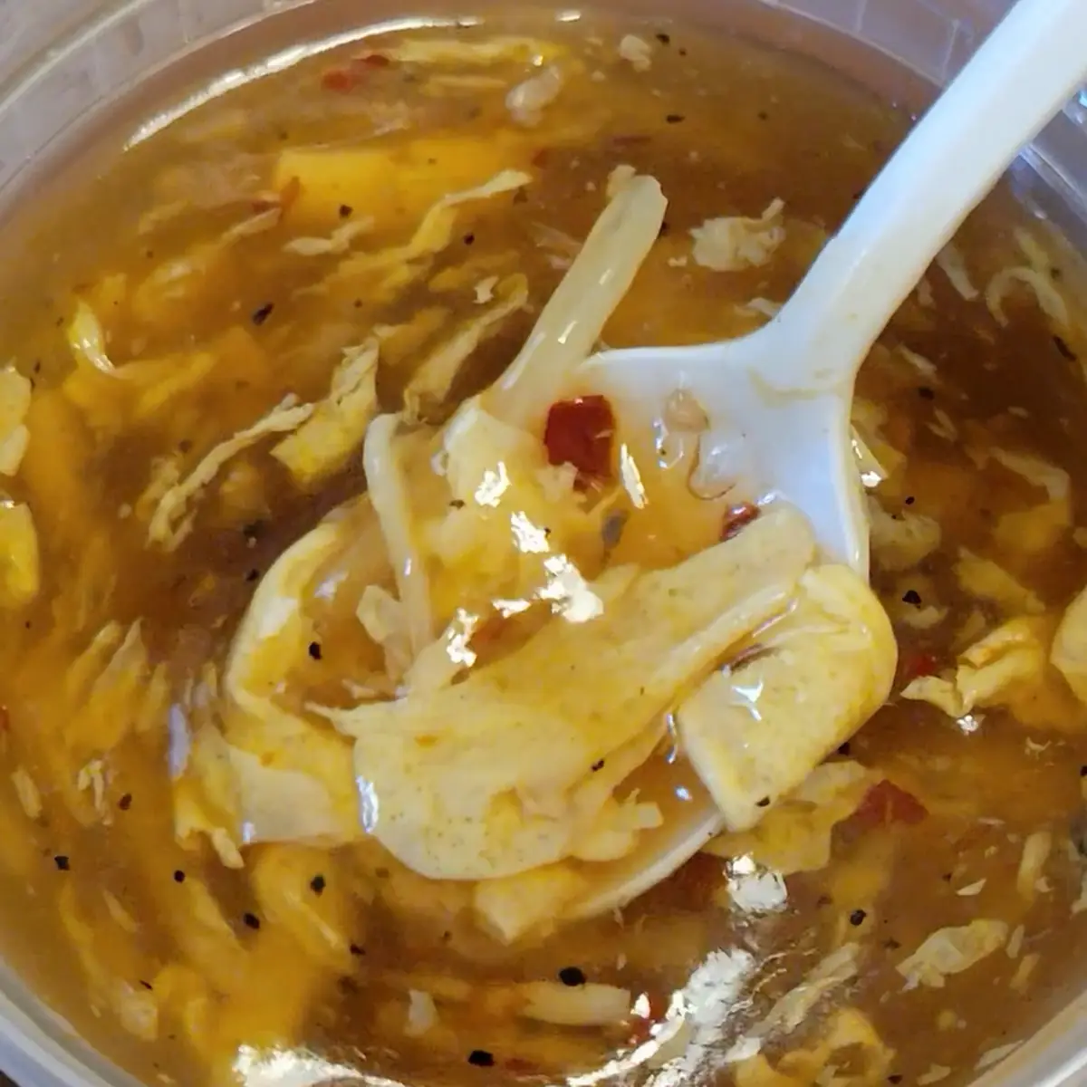 Hot and Sour Soup