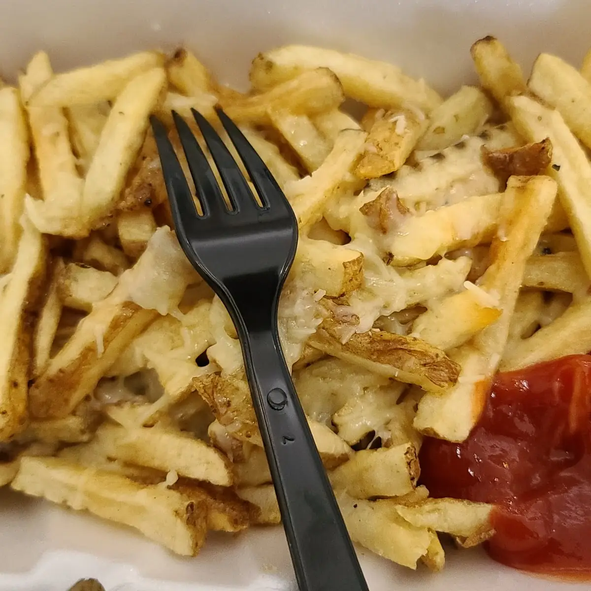 Garlic Parmesan Fries