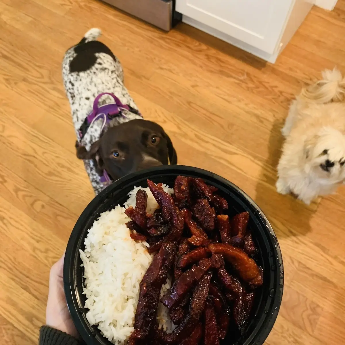 Boneless Spare Ribs
