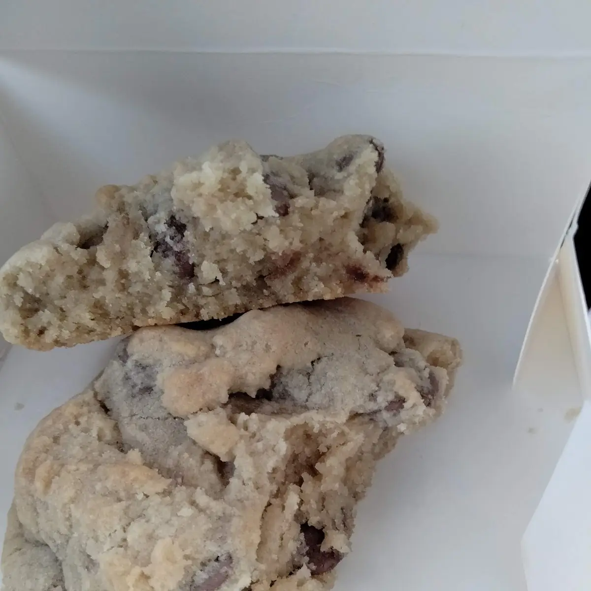 Chocolate Chip Cookie