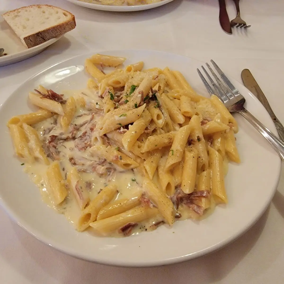 Penne Pasta and Stuff