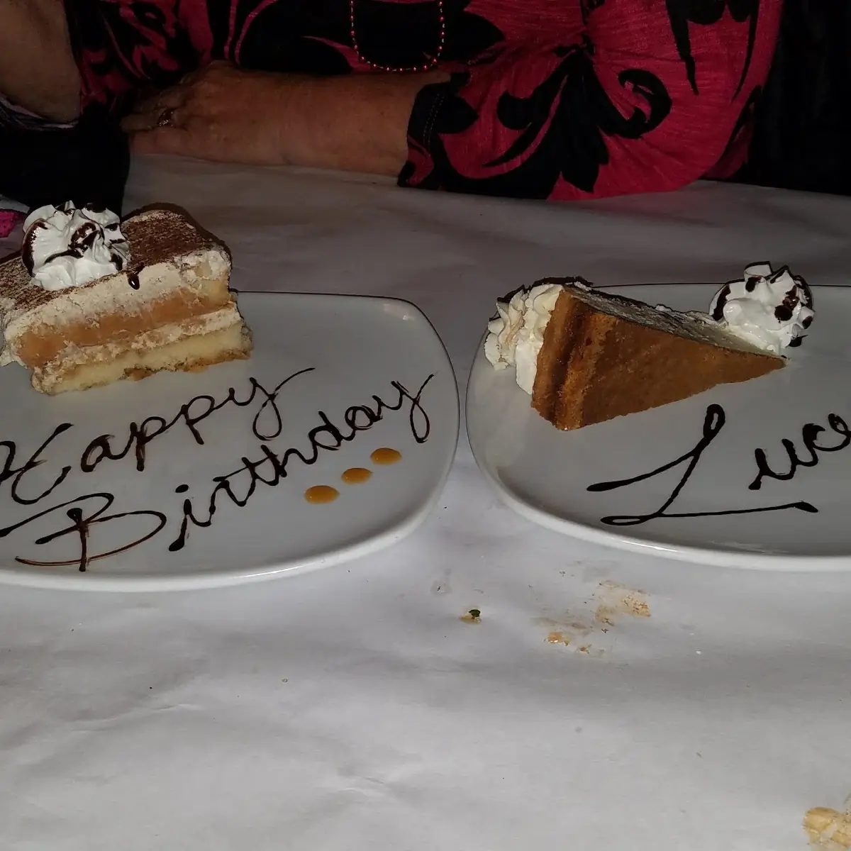 Chocolate Cake and Tiramisu