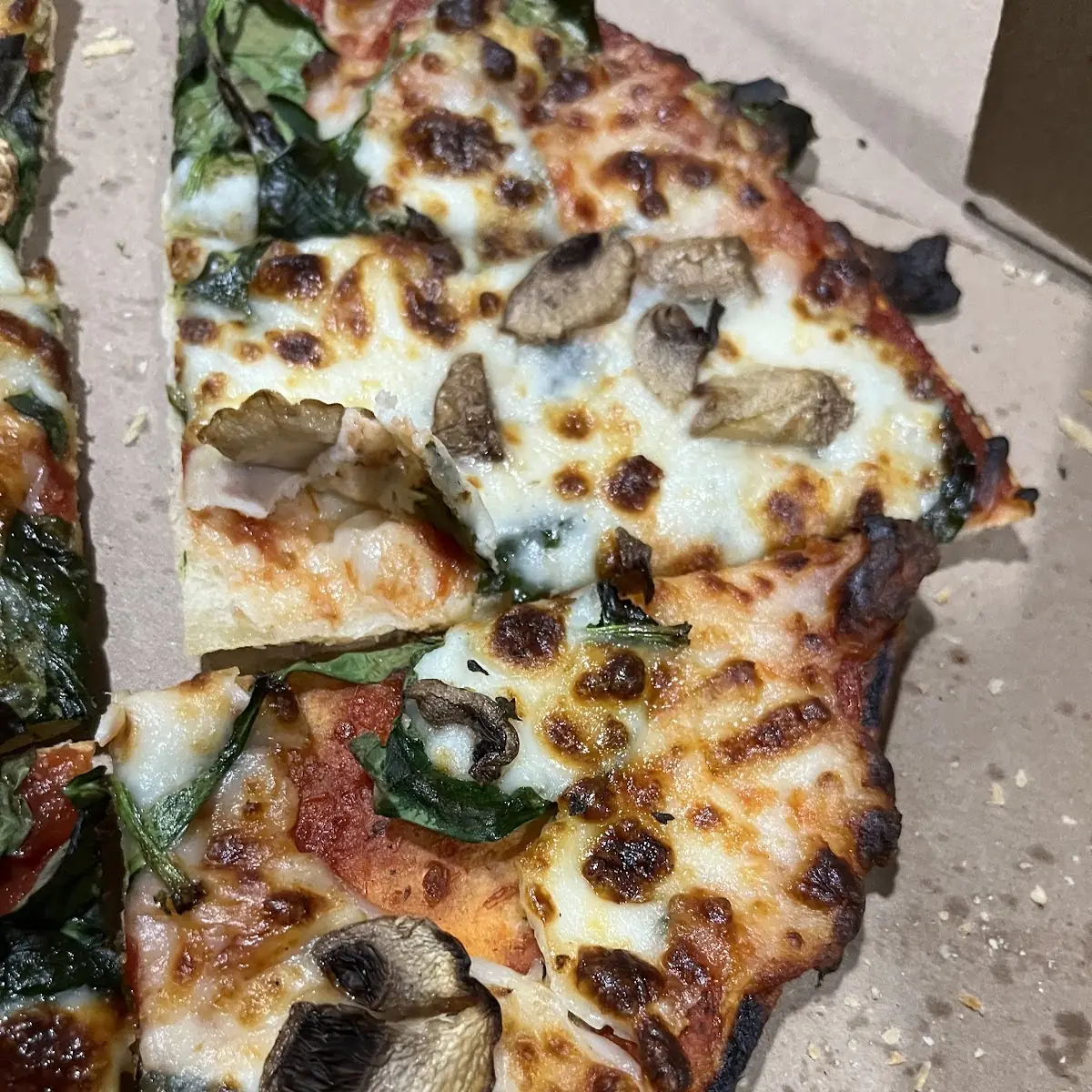 Thin Crust Heavy Sauce Pizza