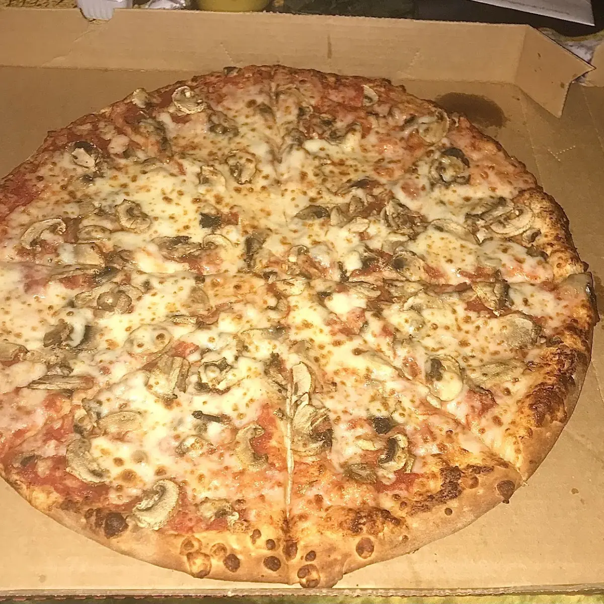 Mushroom Pizza