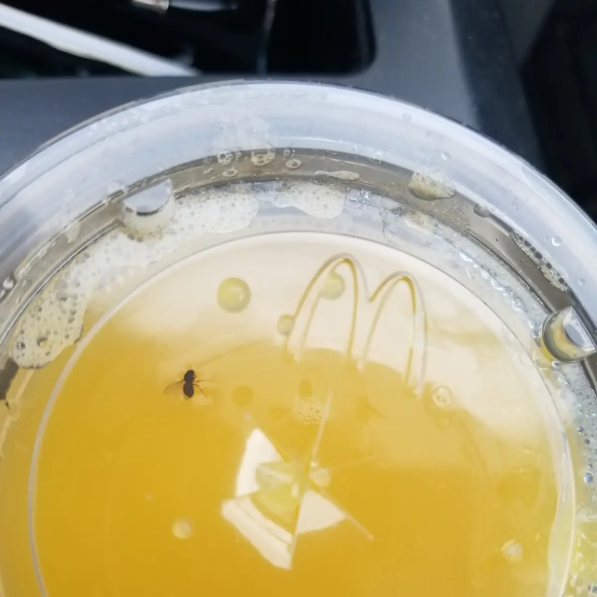 Minute Maid Orange Juice