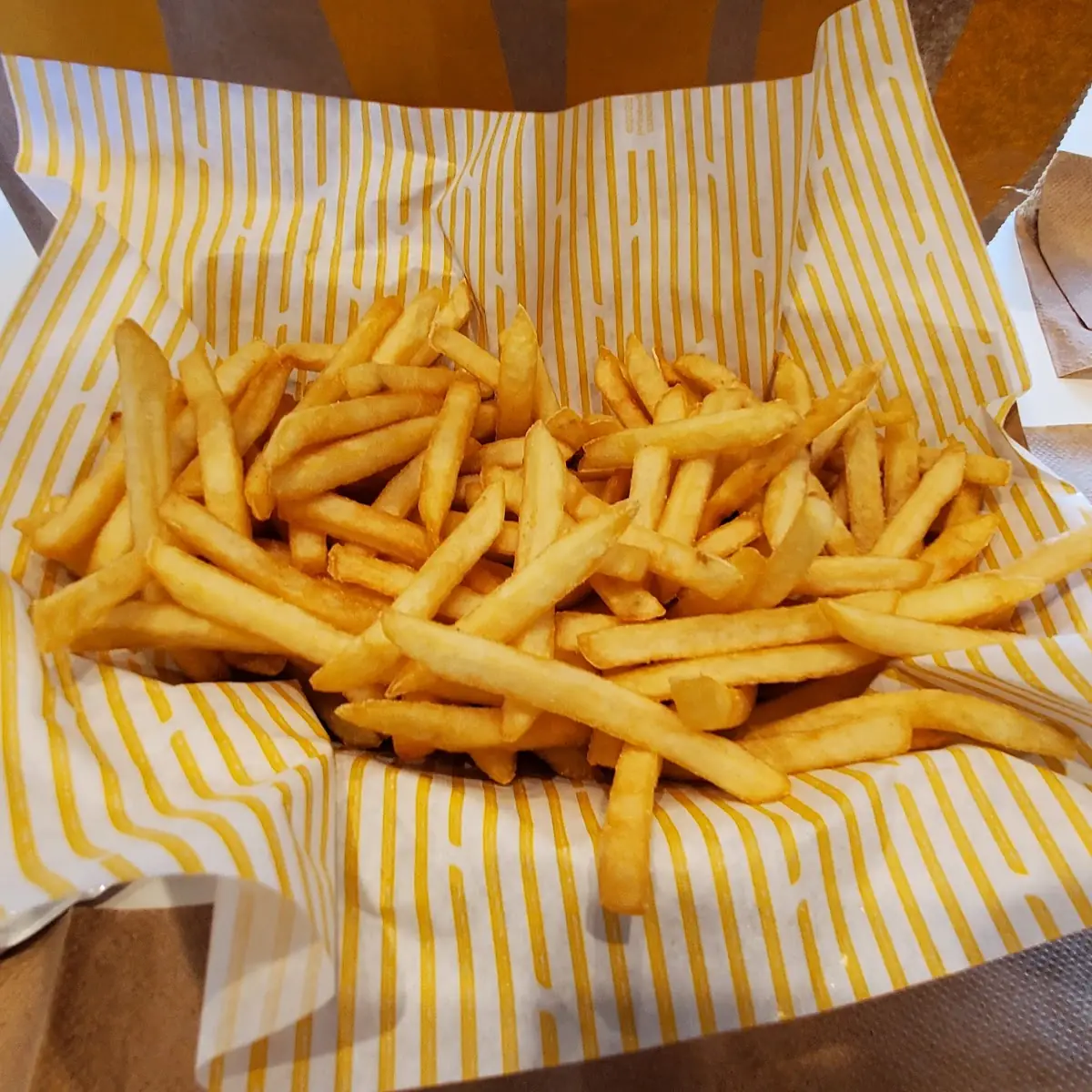 World Famous Fries