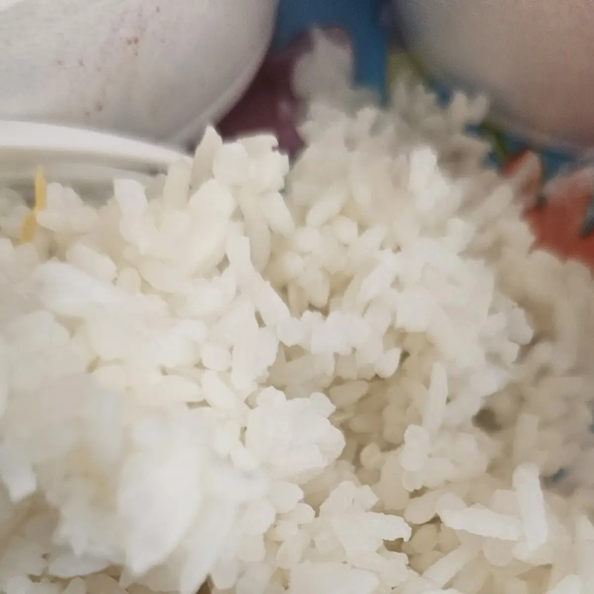 Steamed Rice