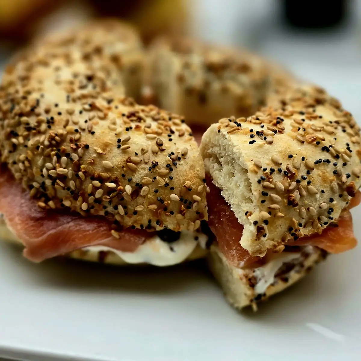 Daybreak Bagel V