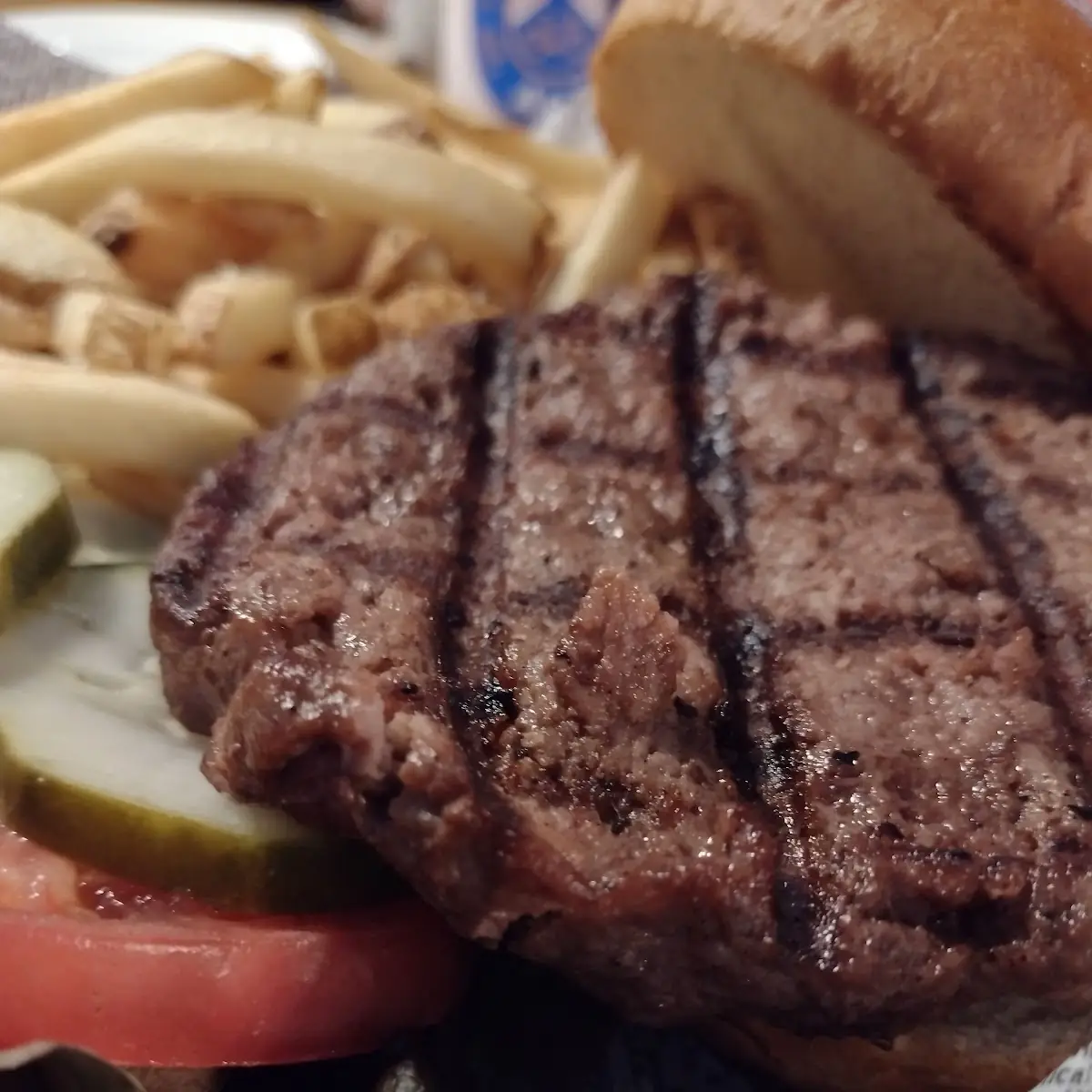 Elk Burger