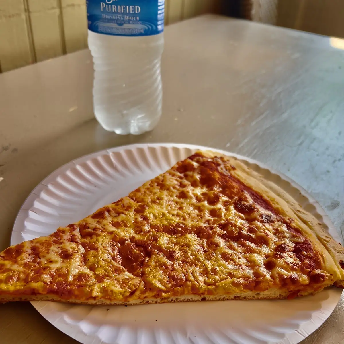 Plain Pizza Slice