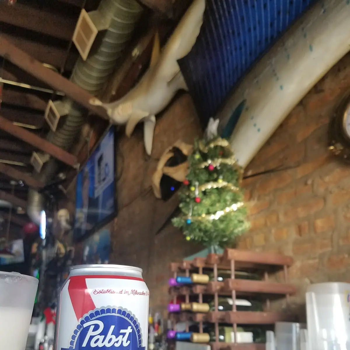 Pabst Blue Ribbon