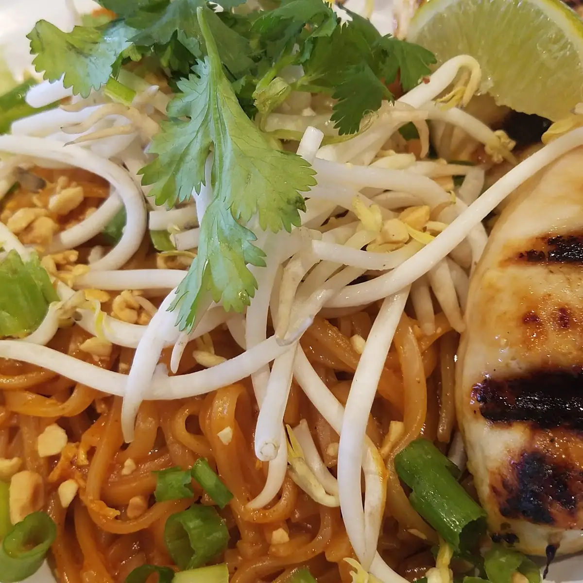 Chicken Pad Thai