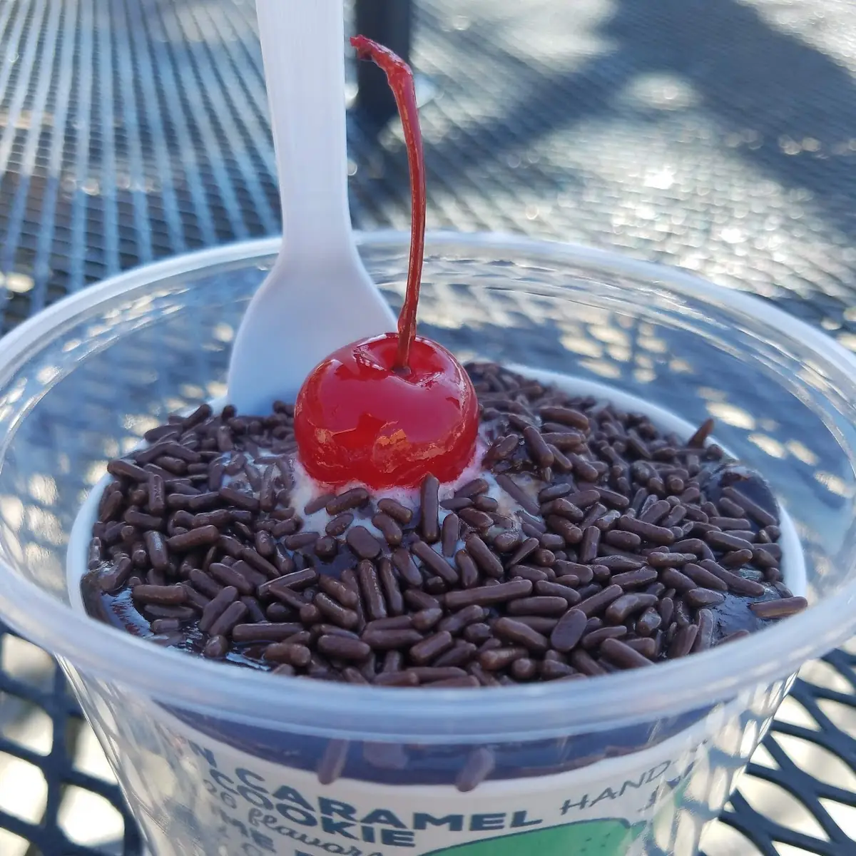 Ice Cream Sundae with Chocolate Sprinkles