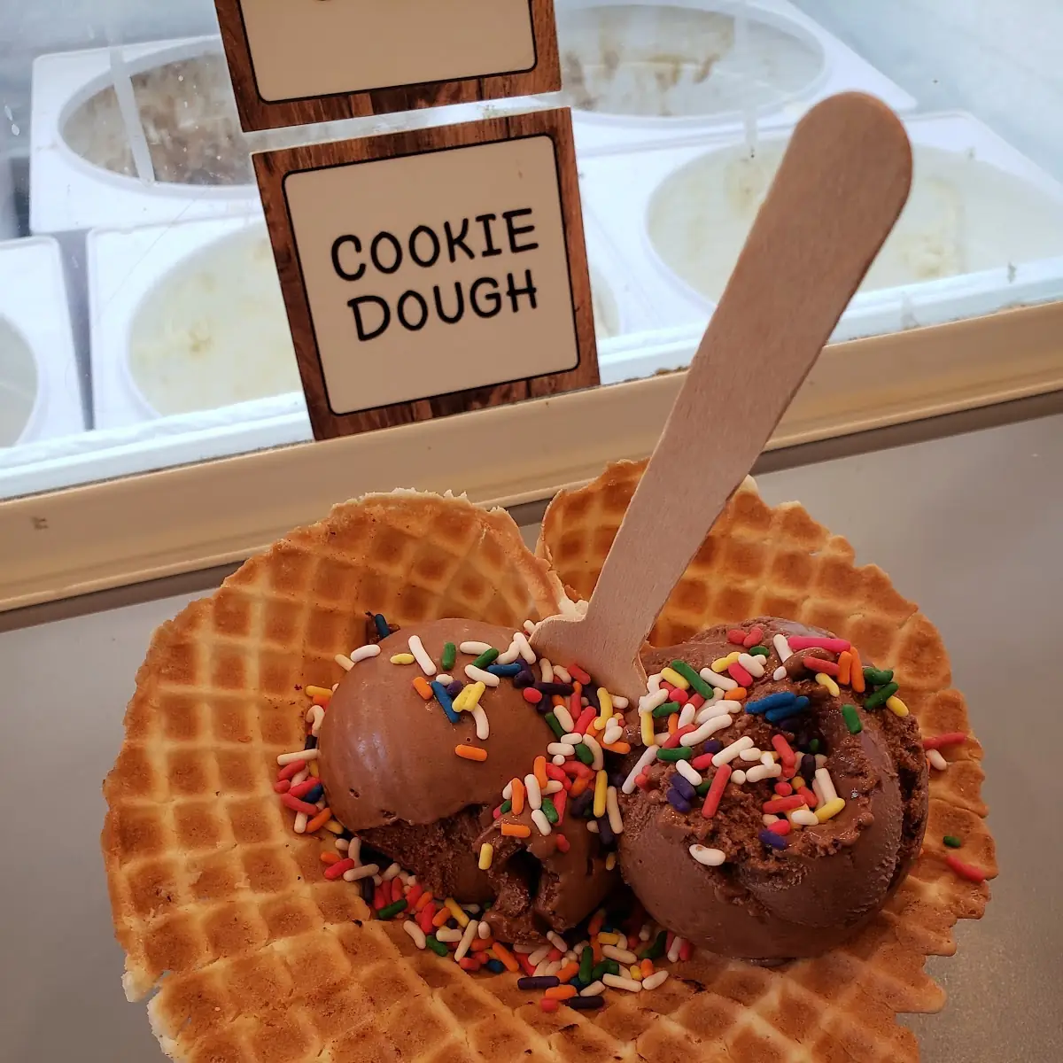 Vegan Chocolate Ice Cream