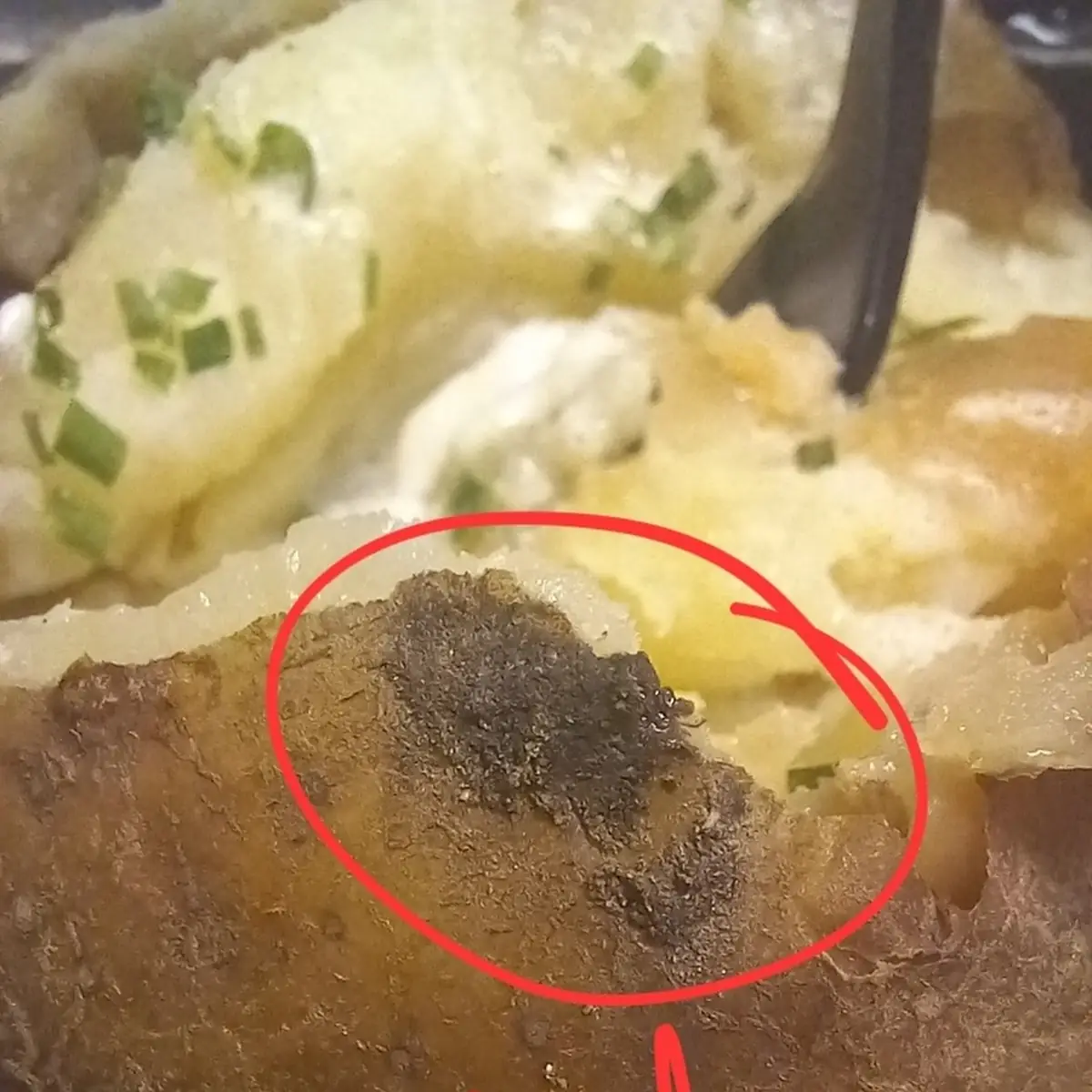 Baked Potato