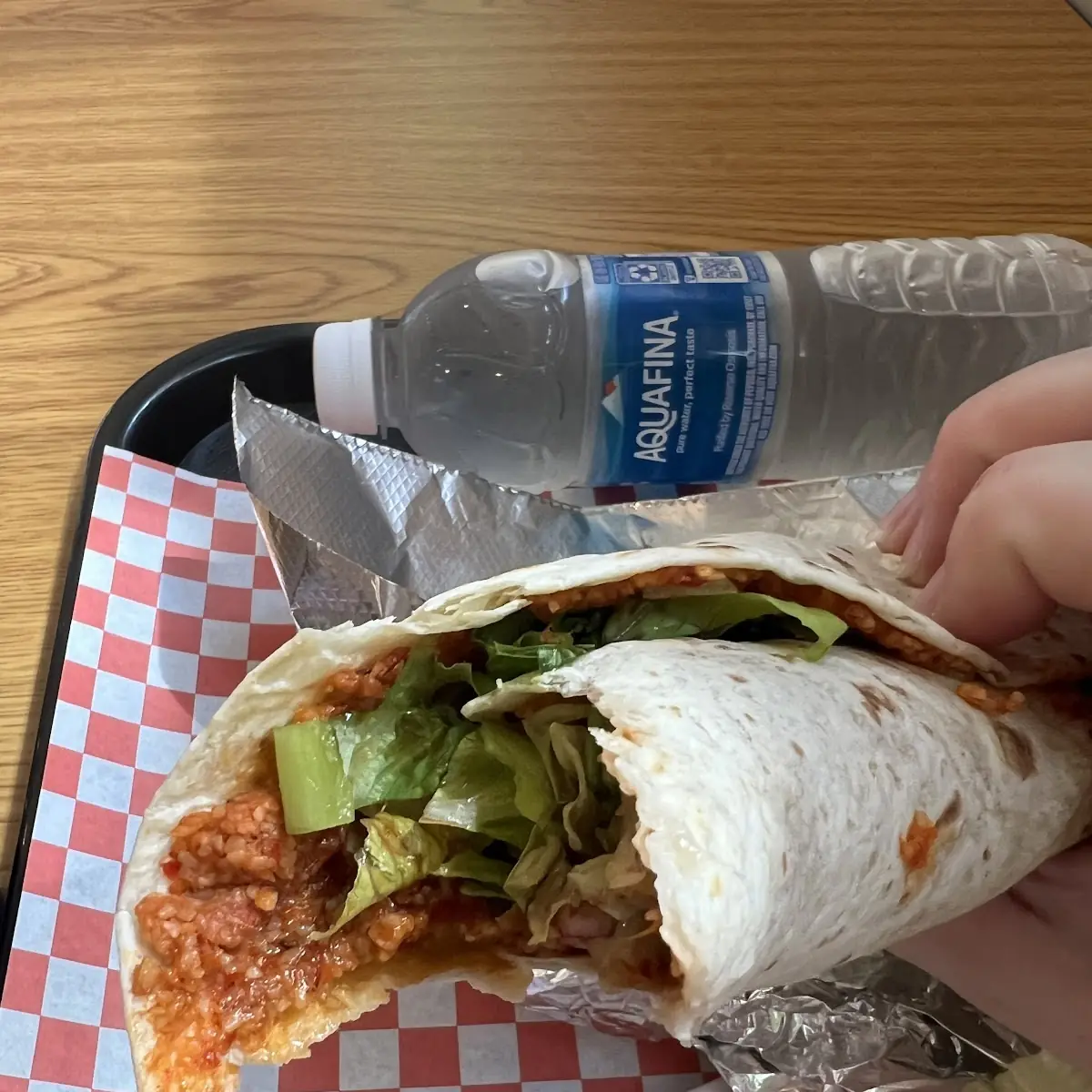 Veg Sandwich