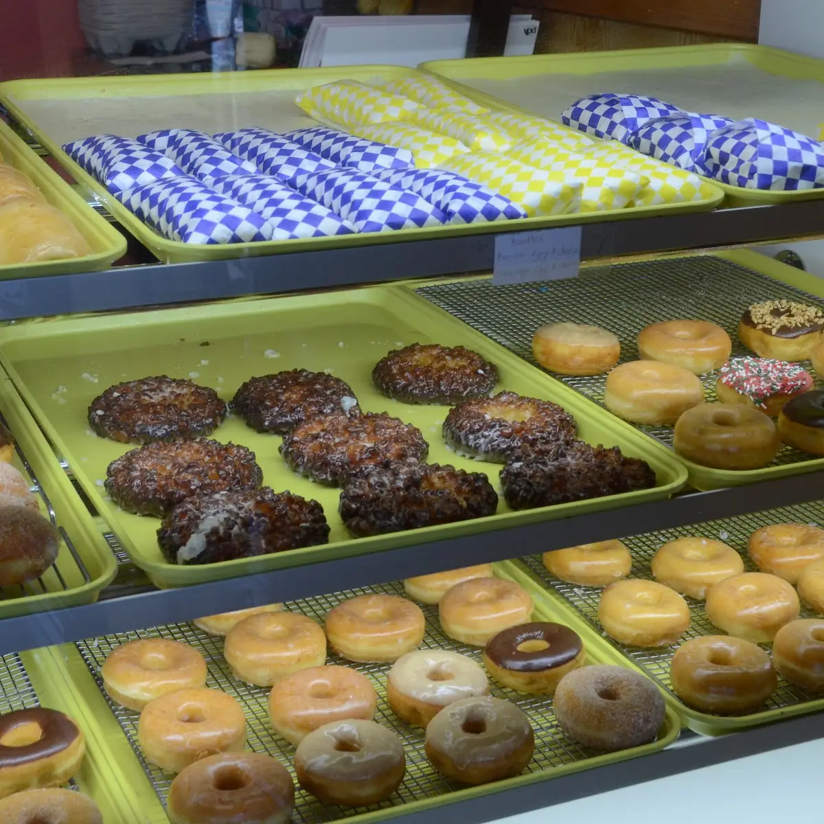 Doughnut