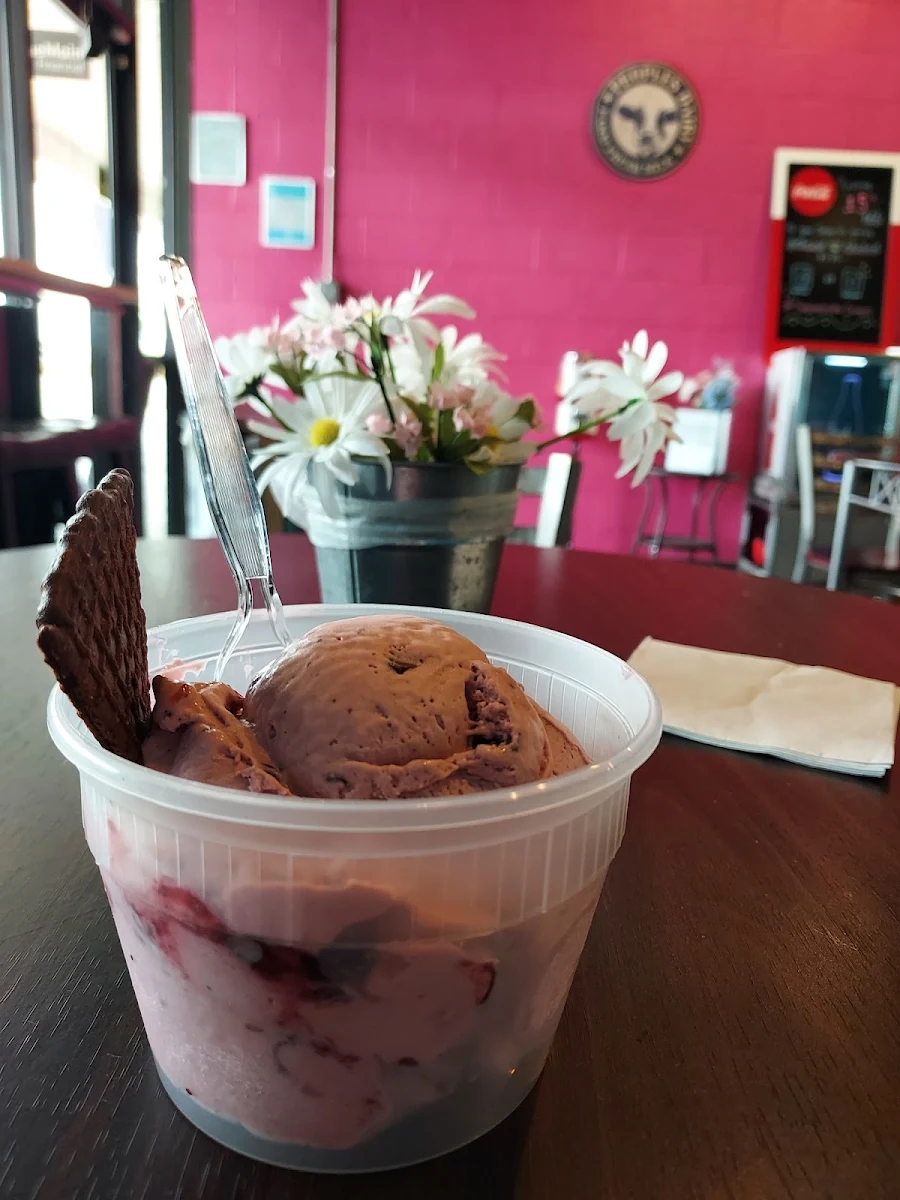 Chocolate Ice Cream