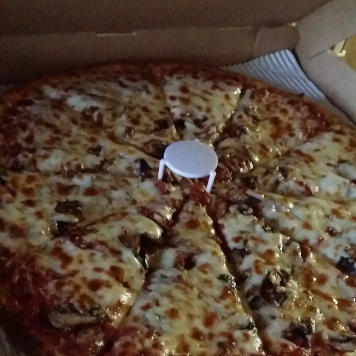 Mushroom Pizza