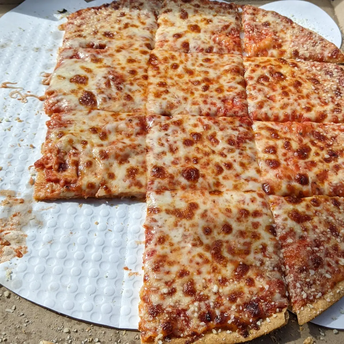 Double Cheese Pizza