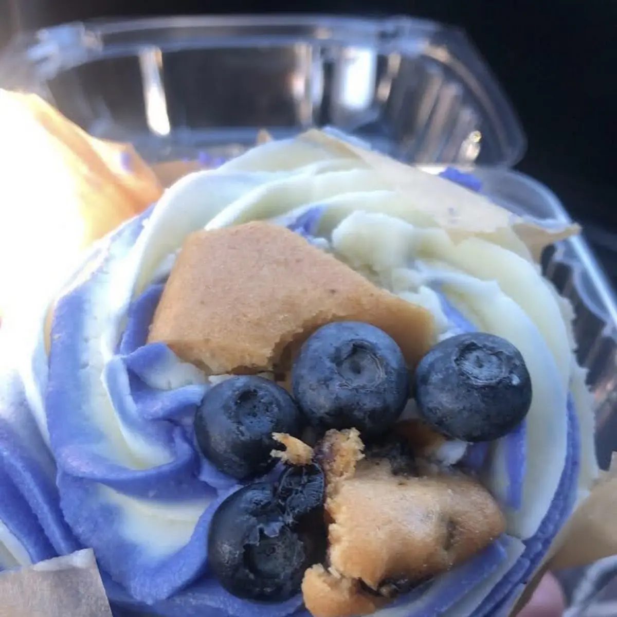 Blueberry Cream Cupcake